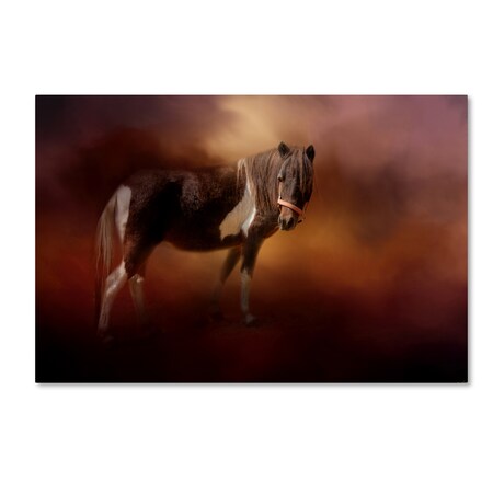 Trademark Fine Art Jai Johnson 'Chickasaw Pony In Autumn' Canvas Art, 16x24 ALI14714-C1624GG